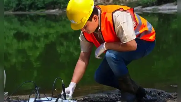 ¿Qué significa "in situ" y cuándo se utiliza?