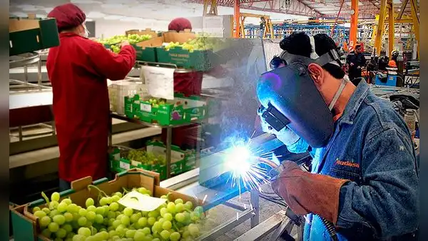 Se incrementó en 2,3% la cantidad de empresas exportadoras a junio de 2023