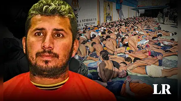 Lobos, Choneros y Lagartos: las bandas criminales más grandes de Ecuador con hasta 20.000 integrantes