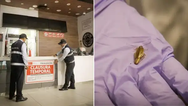 San Isidro: municipalidad clausura local de conocida pizzería por presencia de insectos