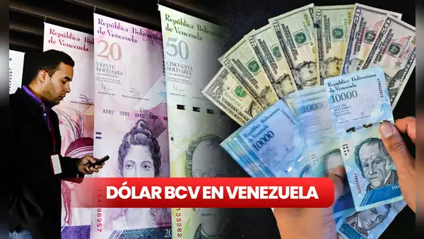Dólar BCV HOY, viernes 18 de agosto 2023: conoce la cotización del dólar en Venezuela