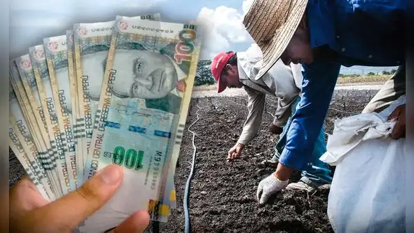 Fertiabono 2: beneficiarios podrán cobrar el subsidio hasta el jueves 31 de agosto