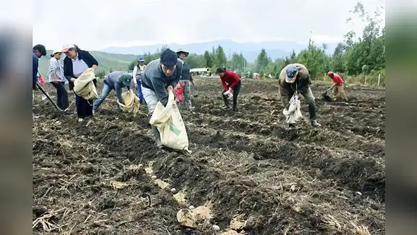 Ministerio de Desarrollo Agrario y Riego ha gastado menos del 50% de su presupuesto pese a crisis