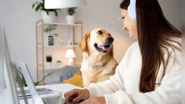 ¿Qué le falta a la IA para hablar con los animales? Esto dicen expertos