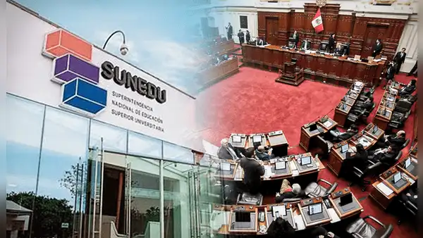TC declara inadmisible en parte a demanda presentada contra ley que debilita a la Sunedu