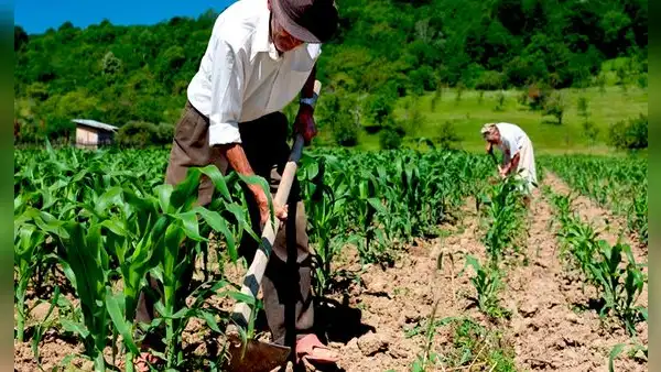 Agricultura 4.0: ¿qué es y cómo transformará la producción alimentaria?