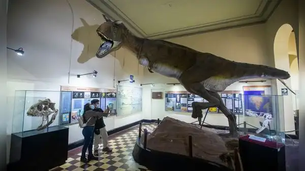 ¡No solo el Perucetus colossus! Estos son otros tesoros que ofrece el Museo Nacional de San Marcos