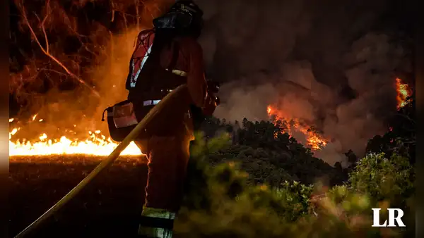 España declara zona de catástrofe a Tenerife por incendio forestal que arrasa 13.000 hectáreas