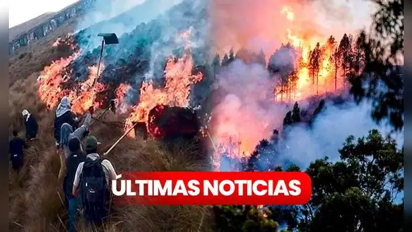 Incendio forestal en Apurímac ÚLTIMAS NOTICIAS: reportan 2 muertos y otros 11 heridos tras feroz siniestro