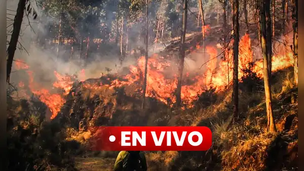 [EN VIVO] Incendios forestales en Perú: Últimas noticias en Apurímac, Arequipa, Cusco y más