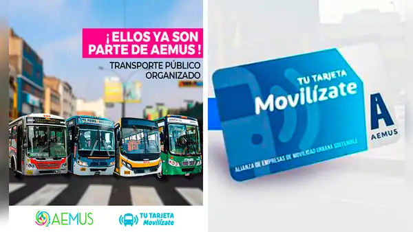 Descubre las empresas de transporte público que aceptan pago con tarjeta electrónica
