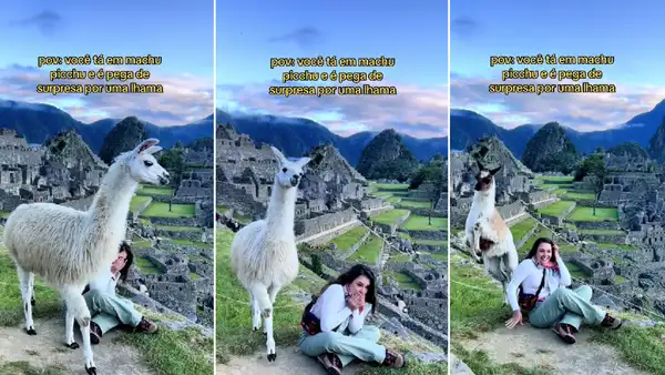 Llamita se roba la atención en foto de italiana en Machu Picchu: “Disculpa que te opaque, querida”