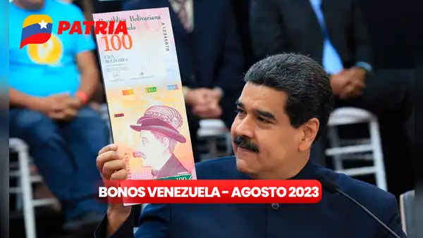 Bonos de la Patria: revisa los 7 subsidios que llegan del 24 al 31 de agosto