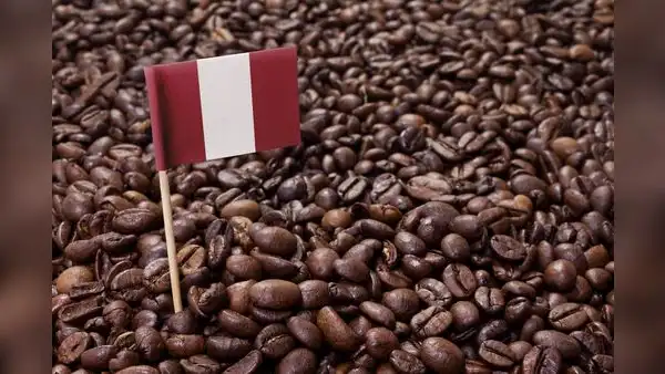 Café peruano se vende a la mitad del precio del año pasado