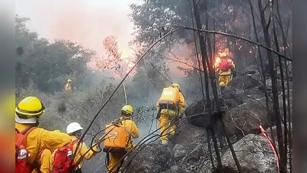 Incendio forestal en Machu Picchu consume zona de amortiguamiento del parque arqueológico