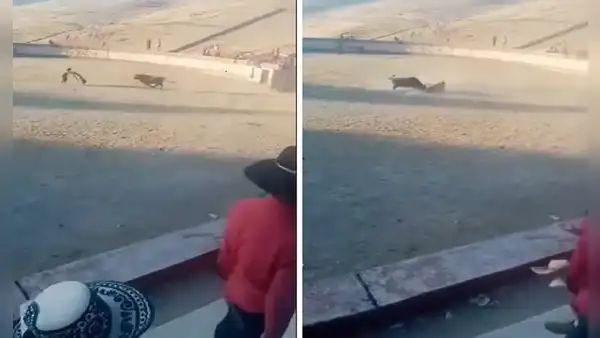 Cusco: joven muere tras ser embestido por toro durante evento taurino
