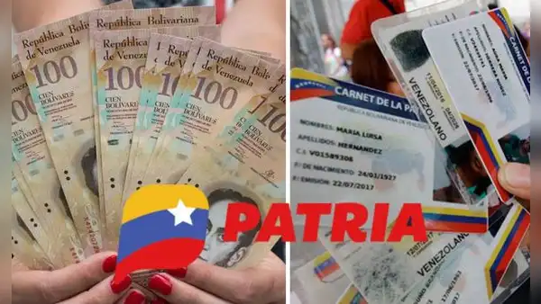 Bonos de la Patria: estos son los 4 subsidios que llegarán del 1 al 7 de septiembre
