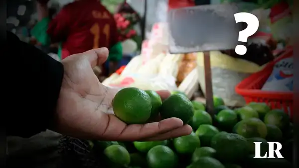 Precio del limón HOY 30 de agosto: ¿cuánto cuesta el kilo por región en Perú?