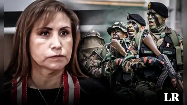 Fiscal de la Nación solicita planes de operaciones de las FF. AA. contra protestas