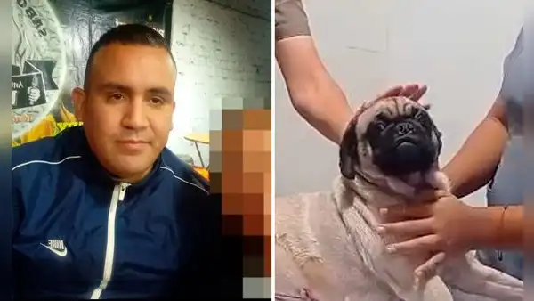 Perrita acuchillada en La Victoria permanece en veterinaria con pronóstico reservado