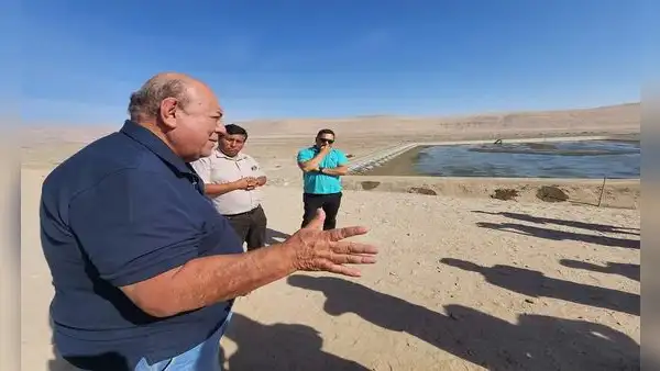 Tacna en alerta por sequía inminente: gobernador pidió a Boluarte declarar estado de emergencia