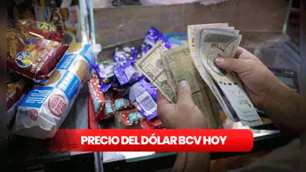 Precio del dólar BCV HOY, viernes 1 de setiembre: tasa oficial según Banco Central de Venezuela