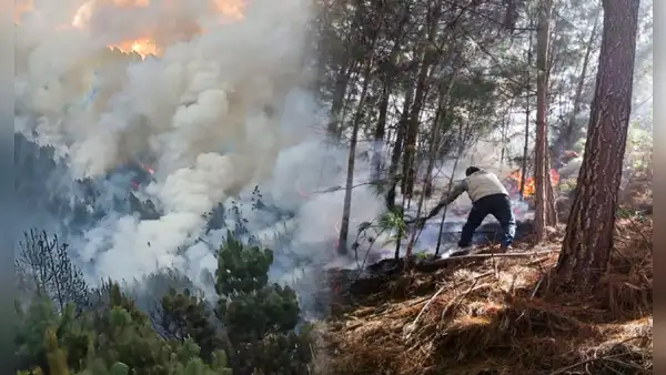 Voraz incendio forestal arrasó con cientos de hectáreas de vegetación en Cajamarca