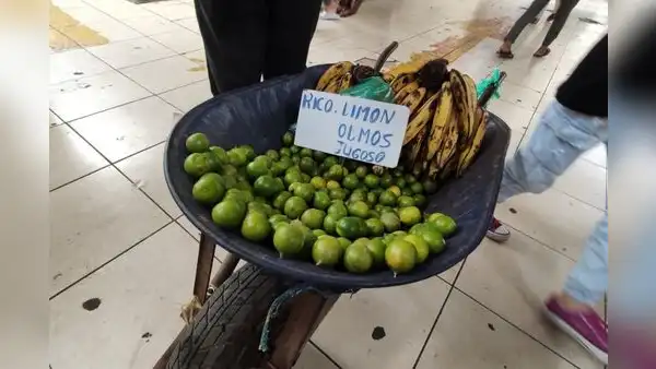 Chiclayo: comerciantes ofrecen a S/1 la unidad de limón por escasez del producto