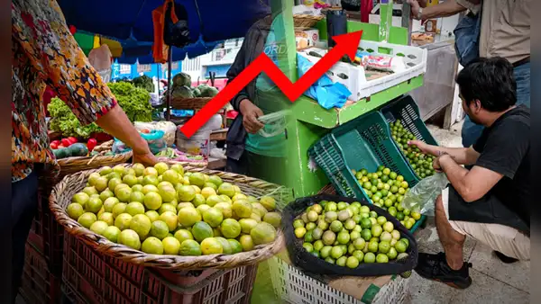 Precio del limón: ¿para cuándo esperan los comerciantes que se normalice el costo?