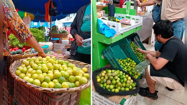 Precio del limón HOY 31 de agosto: conoce cuánto cuesta el kilo del cítrico en cada región del Perú