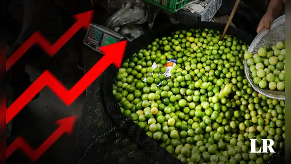 INEI: precio del limón se disparó en 70% durante agosto