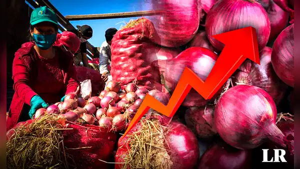 ¡Precio de la cebolla roja alcanza un máximo histórico!: ¿cuánto está y por qué aumentó su valor?
