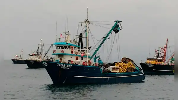 Ministerio de la Producción decidirá apertura de segunda temporada de pesca en octubre