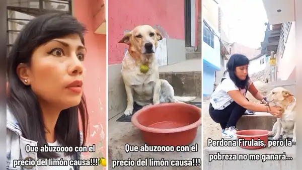 Peruana roba el limón que un perro tenía colgado en el cuello para su ceviche: "Esto ahora vale oro"