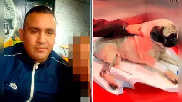INPE: Alonso Santa Cruz, agresor de la perrita Dachi, será recluido en el penal de Lurigancho