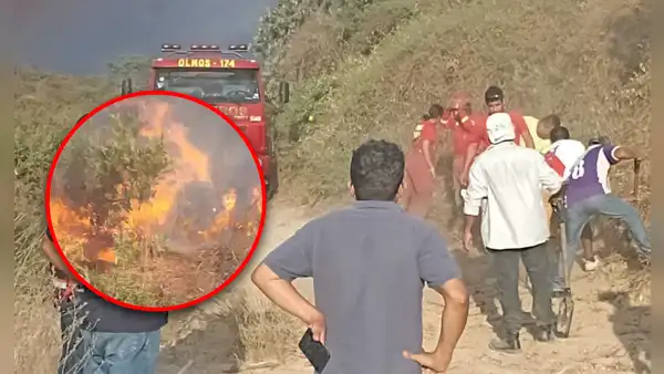 ¡Alarma en Lambayeque! Incendio forestal arrasa con cientos de hectáreas de vegetación