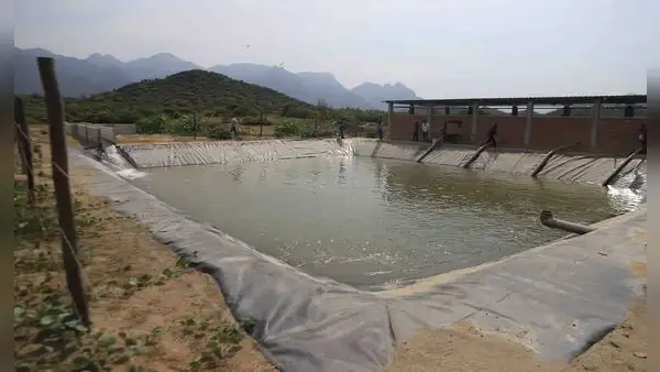 Lambayeque: agricultores de Olmos con brechas para producción