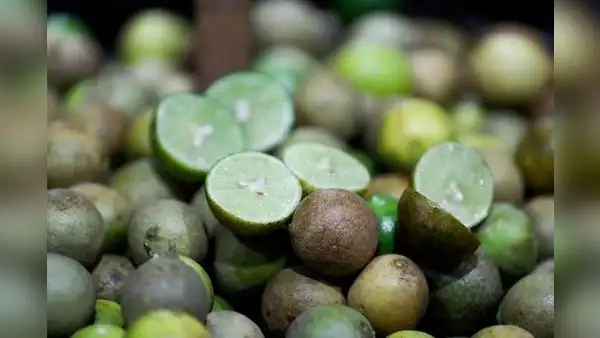 Limón ‘pavita’: ¿cómo es y cuánto cuesta el cítrico usado en Trujillo ante alza de precios?