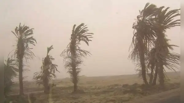Senamhi advierte incremento de vientos en la costa: ¿qué consecuencias traerá en el clima de Lima?
