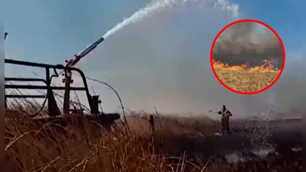 Incendio consume grandes extensiones de totorales en lago Titicaca