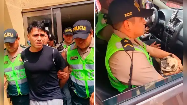Caso Asap: sujeto que agredió a su perrito pug fue condenado a 10 meses de prisión suspendida