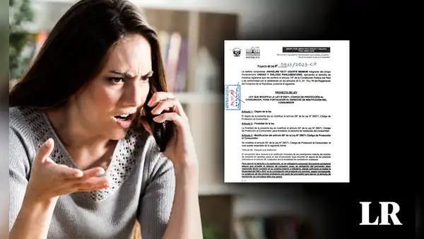 Proponen que no sea obligatorio presentar boleta de consumo para acceder a devoluciones