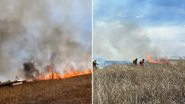 ¡Daño irreparable en el lago Titicaca! Voraz incendio arrasó con 2.150 hectáreas de totorales