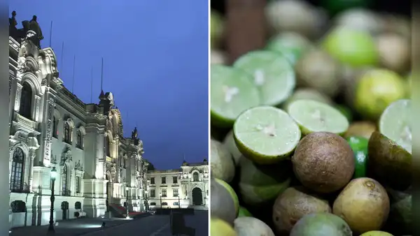 Informe revela que Palacio de Gobierno habría gastado miles de soles en limones de alta calidad