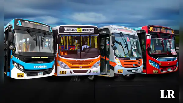 Desde Comas al Cercado de Lima: estas son las empresas que circulan y cobran pasajes desde S/3