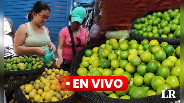 Precio del limón HOY 9 de septiembre: cuánto cuesta el kilo en Lima y regiones del Perú
