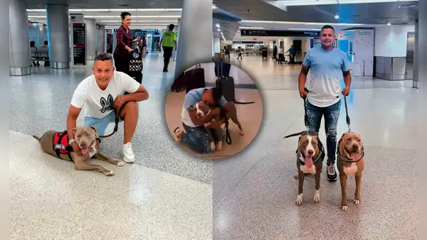 Migrante venezolano se rencuentra con sus mascotas tras 2 años separados