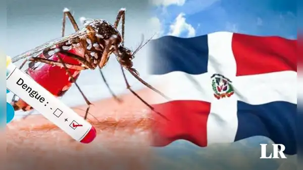 Preocupación por aumento de casos de dengue en República Dominicana: ¿cuáles son las zonas más afectadas?