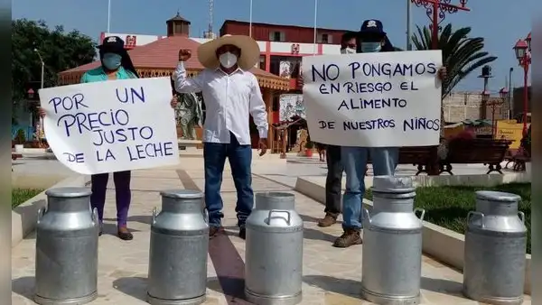 Ganaderos se movilizarán exigiendo cumplir ley que establece obligatoriedad en uso de leche fresca