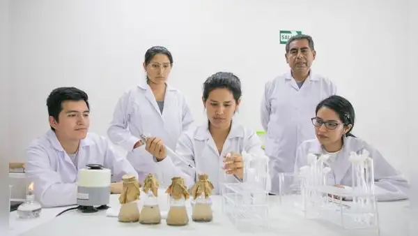 Bacterias para remediar el suelo
